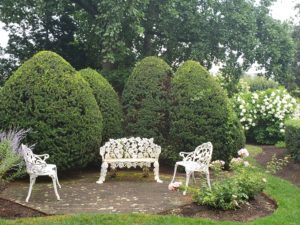 Garden_20190813_134810