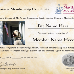 Pet Certificate